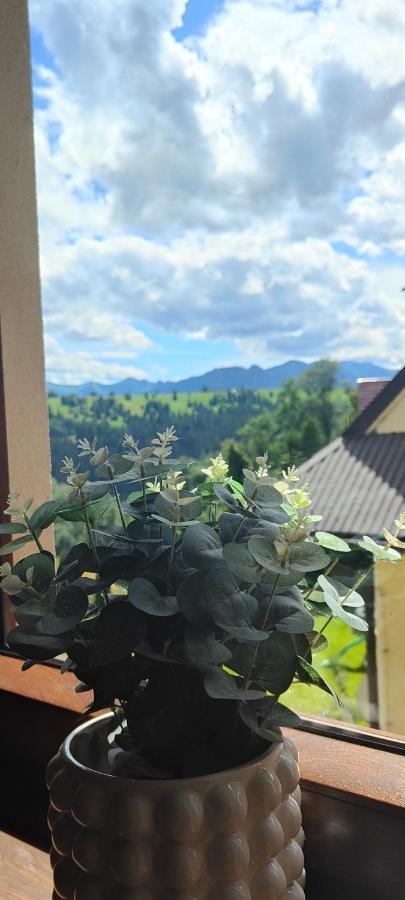 Hajlanderka Homestay *